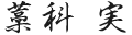 代表取締役社長 藁科 実